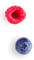 berries-bottom